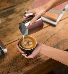 BREVILLE BES810BSSUSC BES810BSS Duo Temp Pro Espresso Machine, Stainless Steel